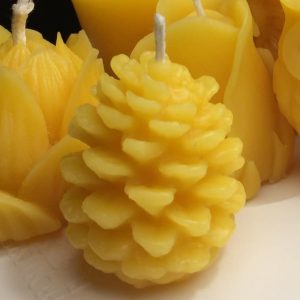 Small pine cone beeswax candle